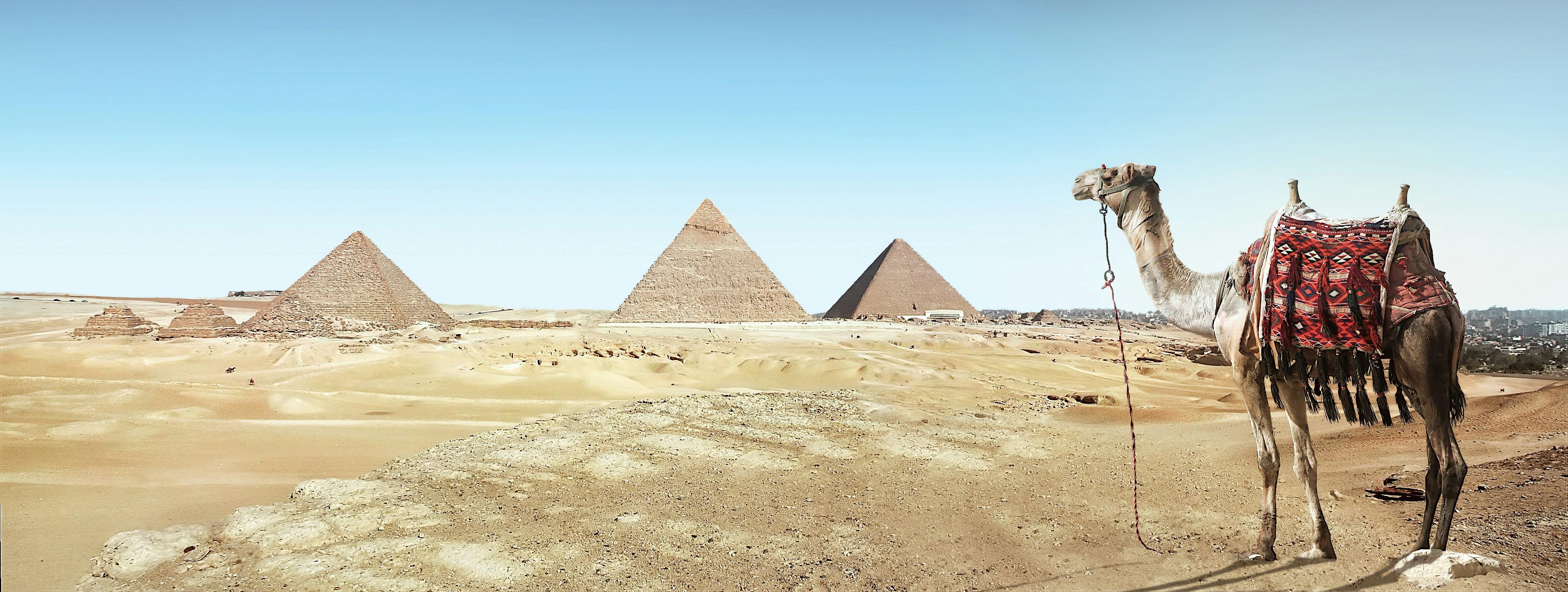 Giza Pyramids with Traditional Camels - Ancient Egyptian Wonders and Desert Adventure with Egypt Tours