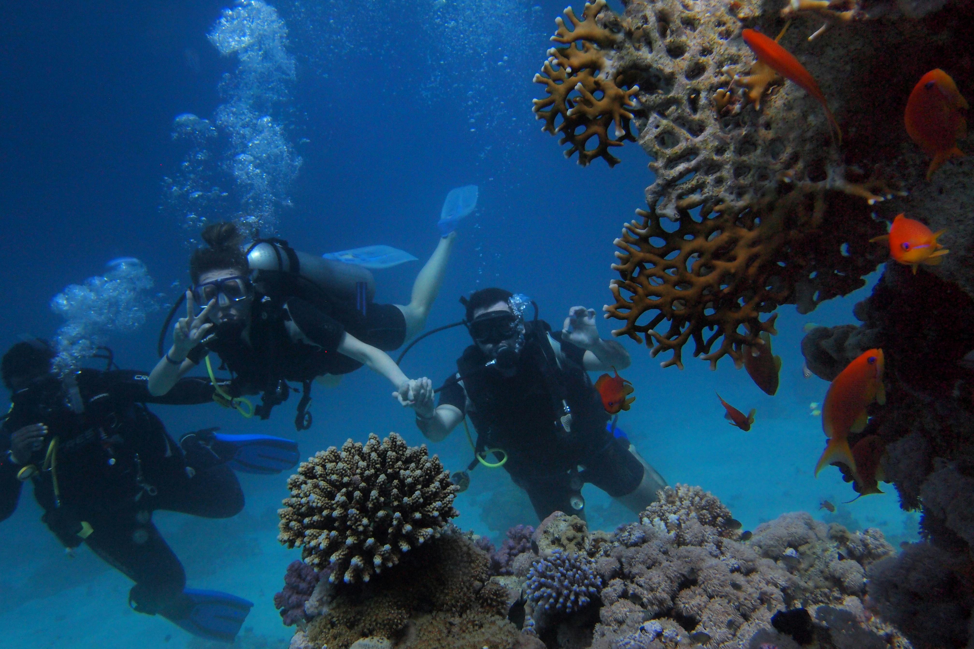 Red Sea Adventures - Scuba Divers Exploring Vibrant Coral Reefs with Tropical Fish in Crystal Clear Waters